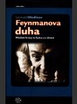 Feynmanova duha - náhled