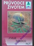 Jozue soudců rút - náhled