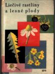 Liečivé rastliny a lesné plody - náhled
