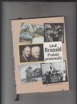 Pražské promenády - náhled