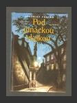 Pod junáckou vlajkou - náhled