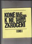 Koně k nezkrocení - náhled