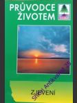 Zjevení - náhled