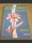Jak bych se opravil - náhled