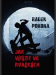 Jak vítězit ve rvačkách - náhled