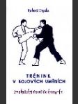 Trénink v bojových uměních - náhled