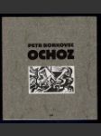 Ochoz - náhled