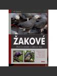 Žakové - Život ve volnosti a voliérový chov (papoušek, papoušci) - náhled