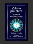 Zdraví pro život: Tajemství tibetské ájurvédy - náhled