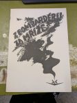 Z bombardéru za mříže - náhled