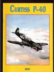 Curtiss P-40 - náhled