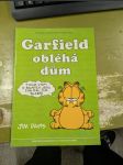 Garfield obléhá dům - náhled