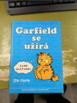 Garfield se užírá - náhled