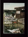 Můj přítel Kamil - náhled