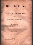 Bilder-atlas naturgeschichte der vögel - náhled