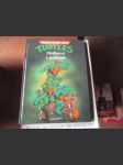 Hrdinové z podzemí - Turtles - náhled