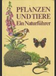 Pflanzen und tiere - ein naturführer (rostliny a živočichové - průvodce přírodou) - náhled