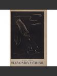 Slovo víry v étheru - náhled