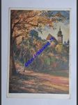 JIHLAVA - IGLAU - Iglauer stadtpark Heulos - náhled