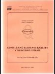Komplexné riadenie kvality v stavebnej firme - náhled