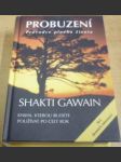 Probuzení. Průvodce plného života - náhled