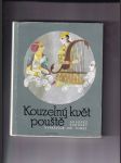 Kouzelný svět pouště - náhled