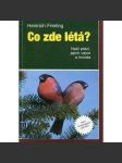 Co zde létá? [Naši ptáci, jejich vejce a hnízda - Příručka k určování ptactva] - náhled