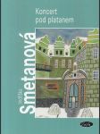 Koncert pod platanem - náhled