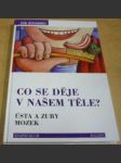 Co se děje v našem těle? Ústa a zuby, mozek - náhled