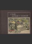 Alpinum v zahradě  - náhled