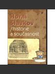 Horní Slavkov - historie a současnost - náhled
