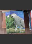 Papoušci Afriky a Asie - náhled