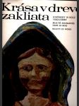 Krása v dreve zakliata - náhled