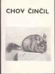 Chov činčil - náhled