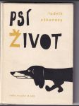 Psí život - náhled