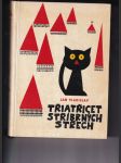 Třiatřicet stříbrných střech (Pohádky černého kocoura Tomáše Tumáše) - náhled