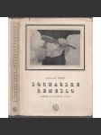 Sochařské řemeslo. Základ sochařského umění [sochařství, sochy, techniky, plastika] - náhled