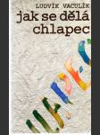 Jak se dělá chlapec - náhled