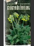 Gyógynovényeink - náhled