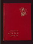 Mezi bohy a démony - náhled