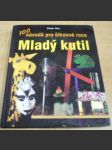 Mladý kutil. 100 návodů pro šikovné ruce - náhled