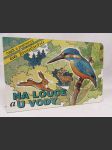 Na louce a u vody: Najdi a pojmenuj 66 živočichů - náhled