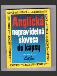 Anglická nepravidelná slovesa do kapsy - náhled