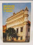 Muzeum Šumavy v Sušici - náhled