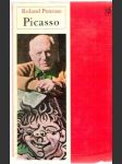 Picasso - náhled
