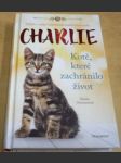 Charlie - kotě, které zachránilo život - náhled