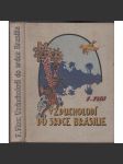 Vzducholodí do srdce Brasilie - náhled