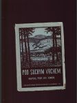 Pod suchým vrchem - náhled