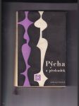 Pýcha a předsudek - náhled
