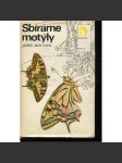 Sbíráme motýly - náhled